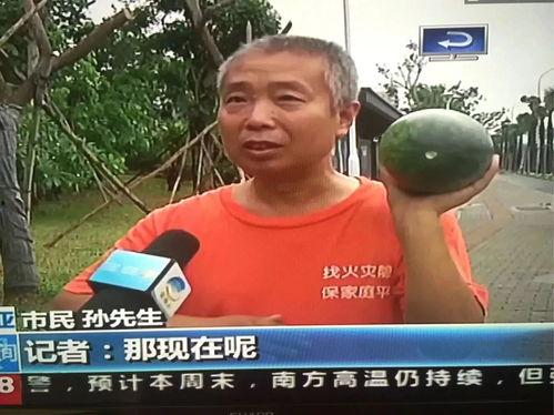 朝阳吃瓜群众事件视频最新,揭秘网络热议背后的真相与争议