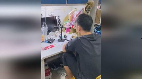 吃瓜视频女生去男生宿舍,吃瓜视频女生惊现男生宿舍，真相揭秘！