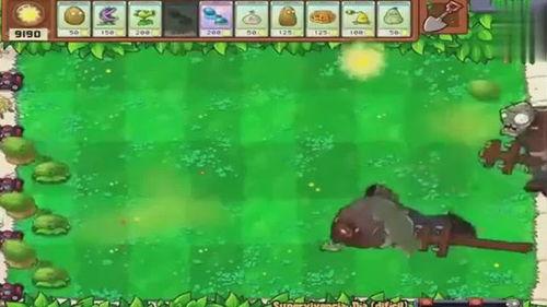 吃僵尸的瓜视频,揭秘神秘美食背后的惊悚故事