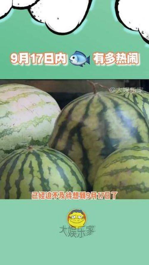 吃瓜的一天的视频,一天视频带你领略人间百态