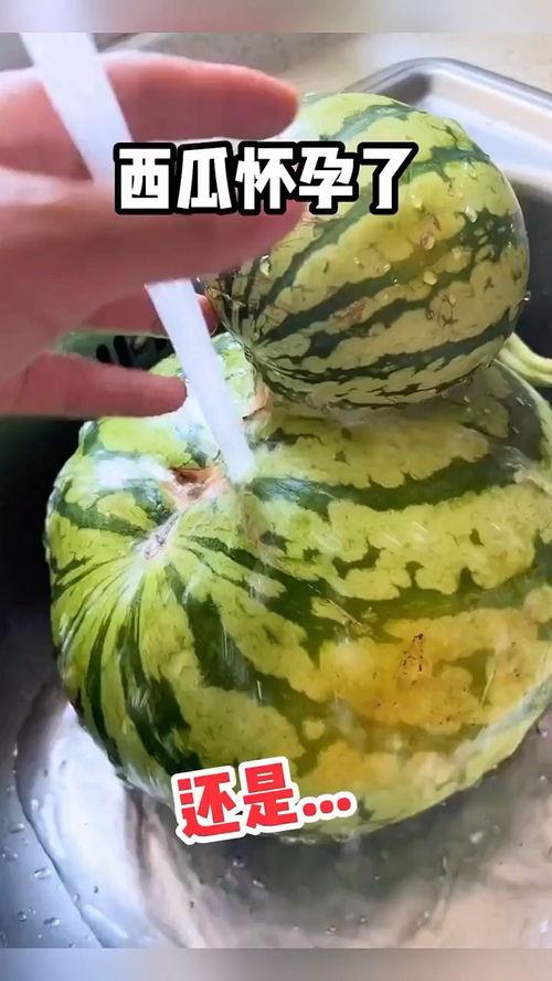 缅甸搞笑吃瓜视频大全,笑料横生，欢乐无限！