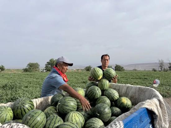 美好一天吃瓜视频,美好一天从吃瓜视频开始