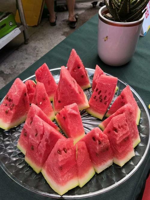 吃中卫硒沙瓜视频素材,中卫特色水果的甜蜜诱惑