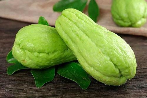 结瓜的瓜花可以吃吗视频,哪些结瓜瓜花可食用？