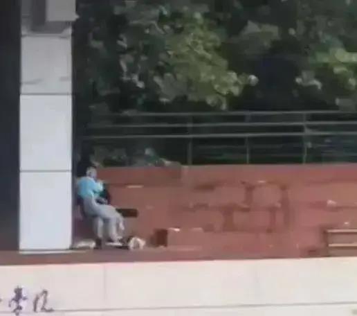 艺术学校吃瓜视频,揭秘校园生活幕后趣闻