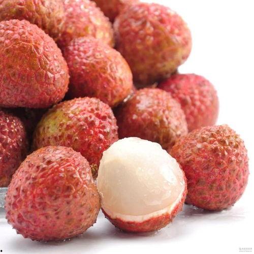 吃瓜少女爱荔枝视频