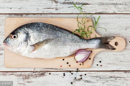 烂瓜可以喂鱼吃吗视频教程,鱼儿美食制作教程