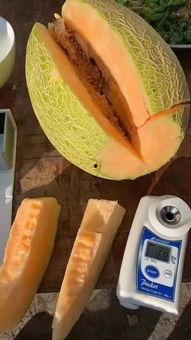 吃蜜瓜觉得苦怎么办呢视频,甜蜜享受不再难