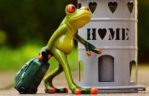 人偶青蛙路边吃瓜原视频,引网友热议